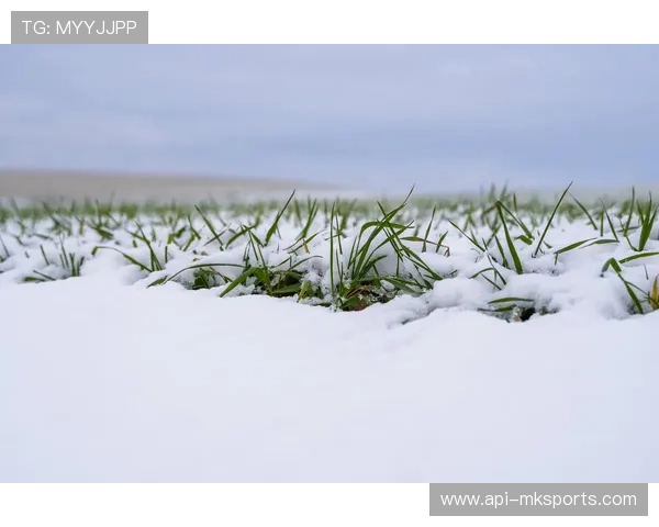 慕尼黑寒潮大雪,安联球场草皮条件受考验 慕尼黑寒潮大雪,安联球场草皮条件受考验